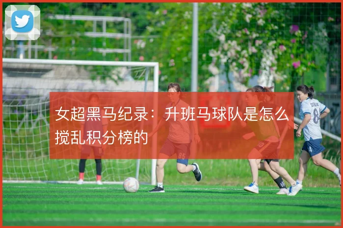 女超黑马纪录：升班马球队是怎么搅乱积分榜的