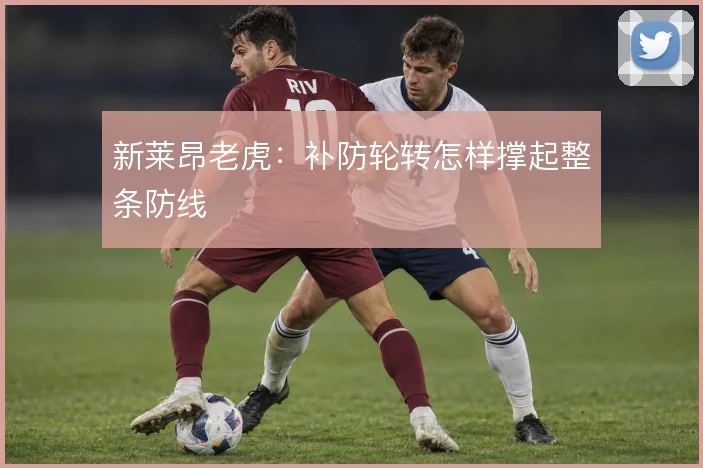 新莱昂老虎：补防轮转怎样撑起整条防线