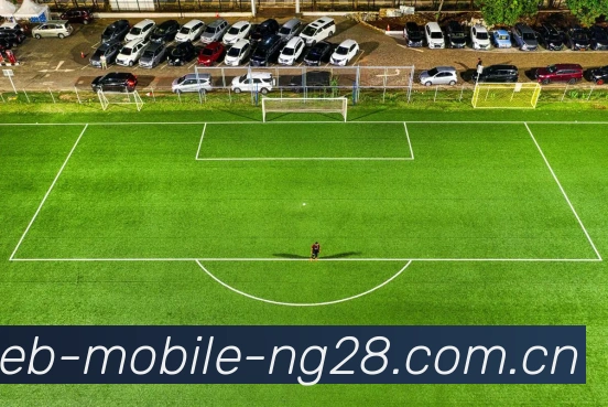 NG28APP 封面图